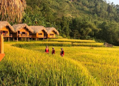 Hoang Su Phi lodge Bungalows